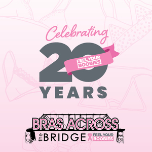 Fundraising Page: Lisa Brenize